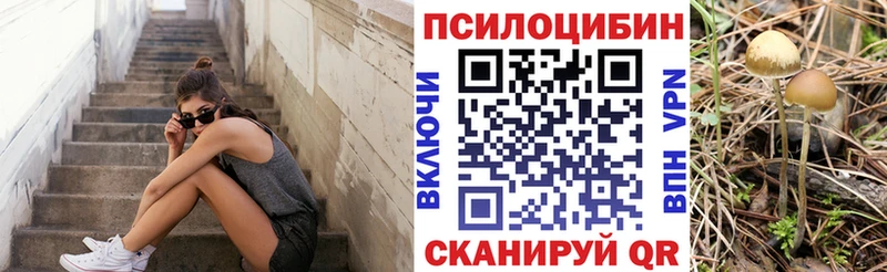 как найти   Печоры  Псилоцибиновые грибы ЛСД 